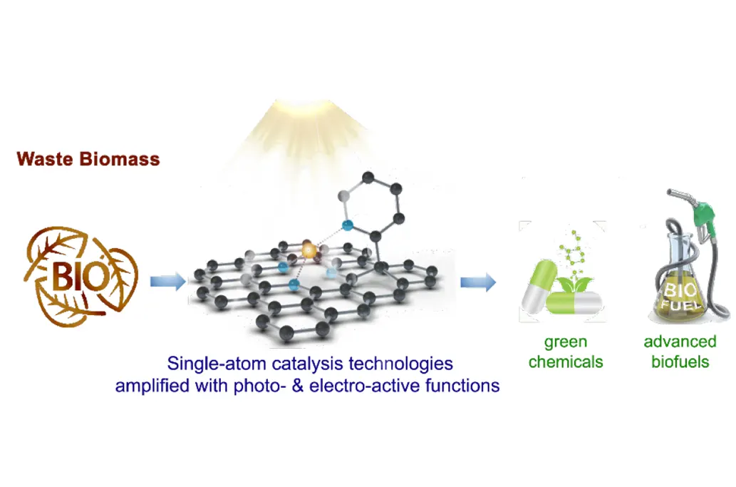 waste biomass